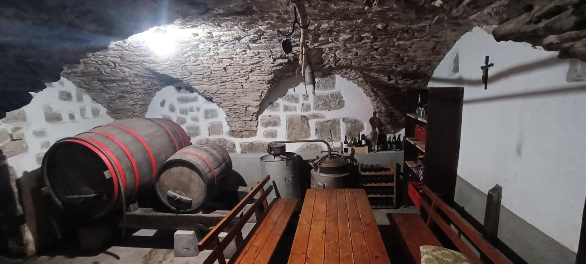 Homestead - Domacija - Nabergoj Podnanos Εξωτερικό φωτογραφία