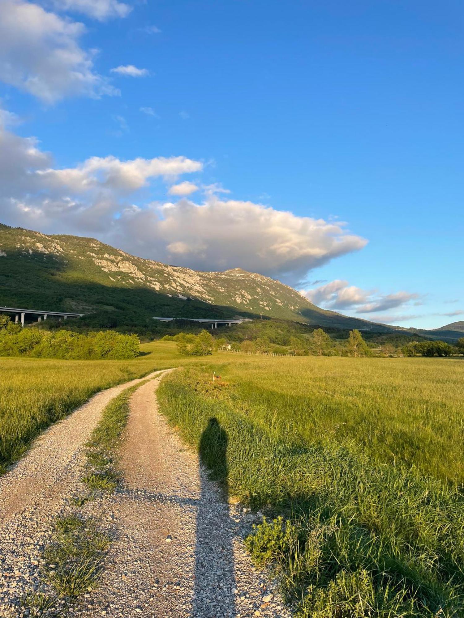 Homestead - Domacija - Nabergoj Podnanos Εξωτερικό φωτογραφία