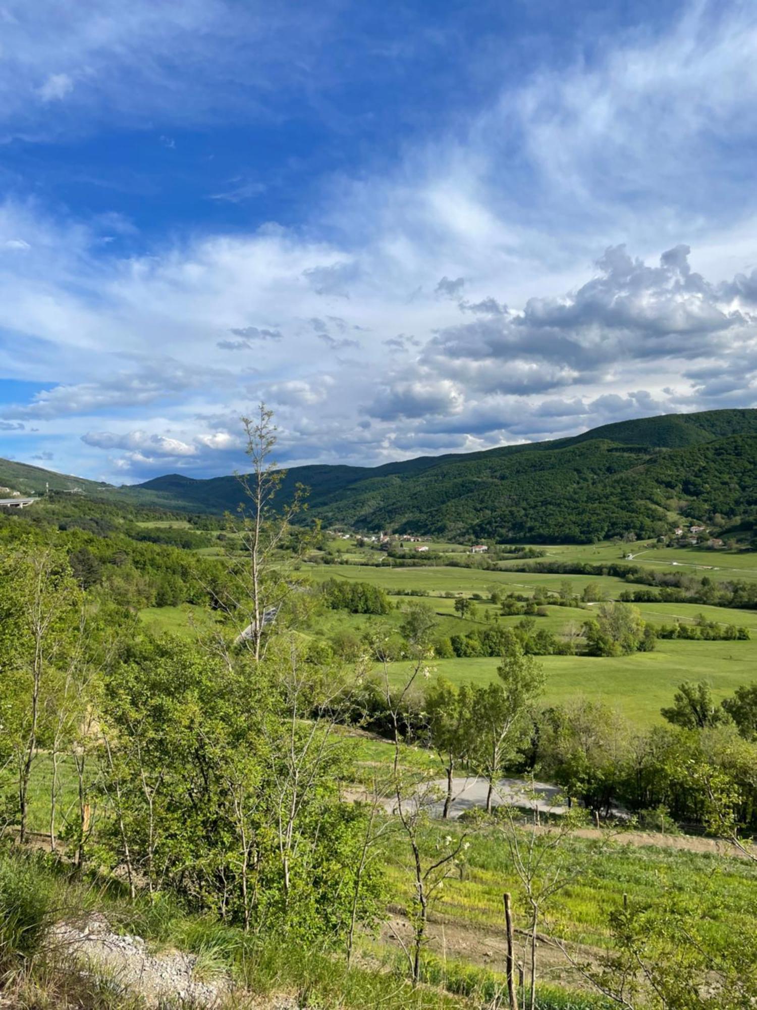 Homestead - Domacija - Nabergoj Podnanos Εξωτερικό φωτογραφία